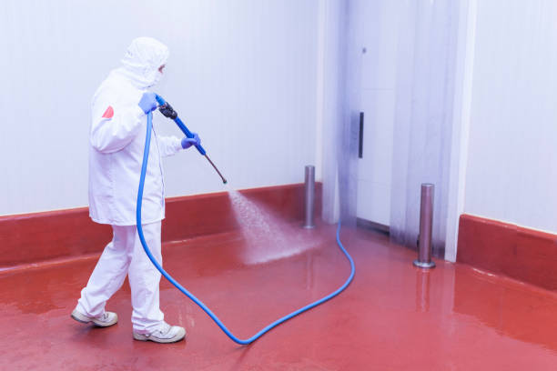 Best Playground Equipment Cleaning  in Parker City, IN